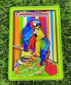 IMÁN PARA REFRIGERADORA DE LOROS CON RANA 1UND